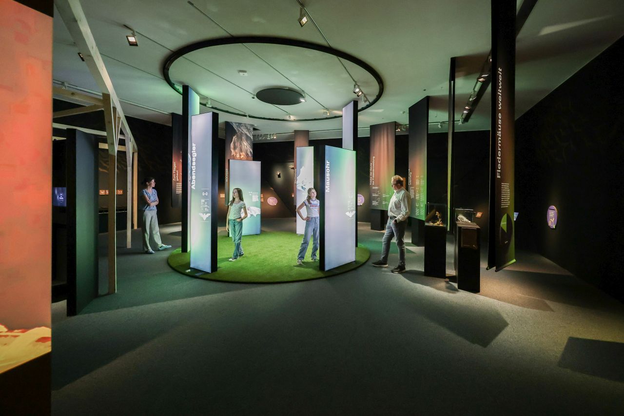 Blick in die Ausstellung